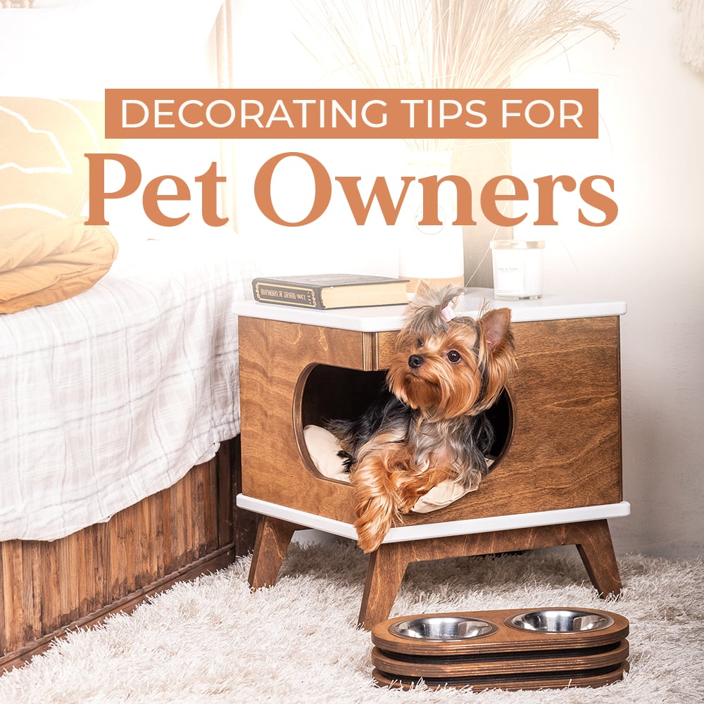 Decorating Tips For Pet Owners