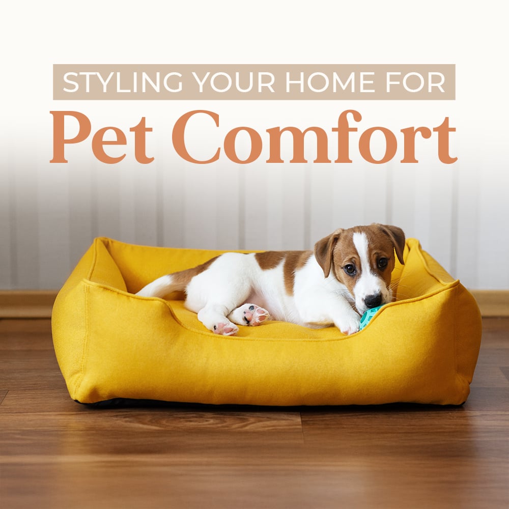 Styling Your Home For Pet Comfort