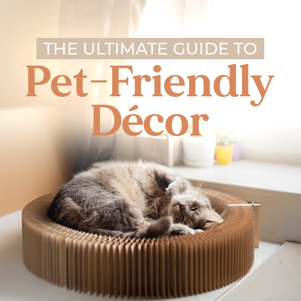 The Ultimate Guide To Pet-Friendly Decor