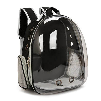 Transparent Cat Backpack and Carrier for Pets
