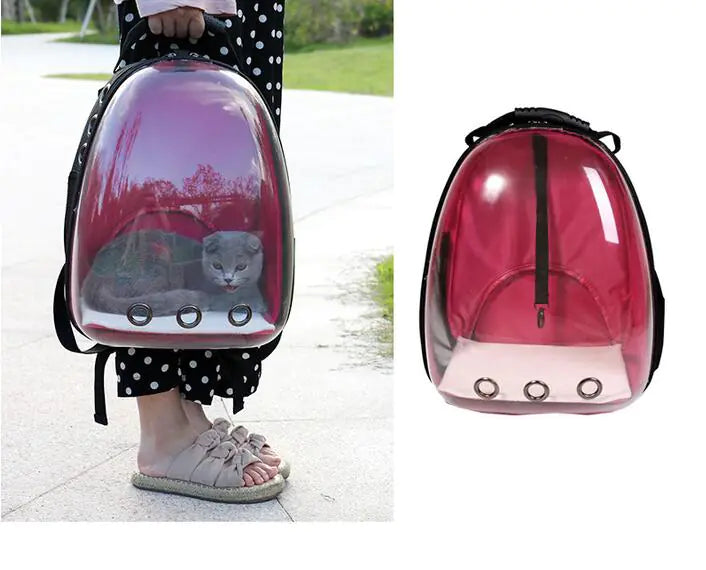 Transparent Cat Backpack and Carrier for Pets