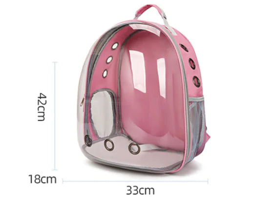Transparent Cat Backpack and Carrier for Pets