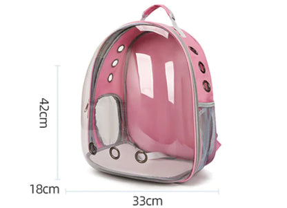 Transparent Cat Backpack and Carrier for Pets